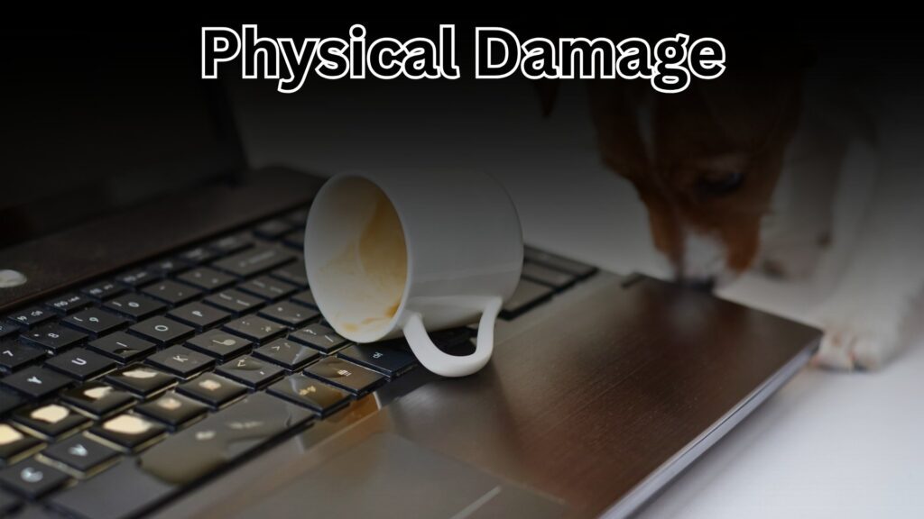Physical Damage